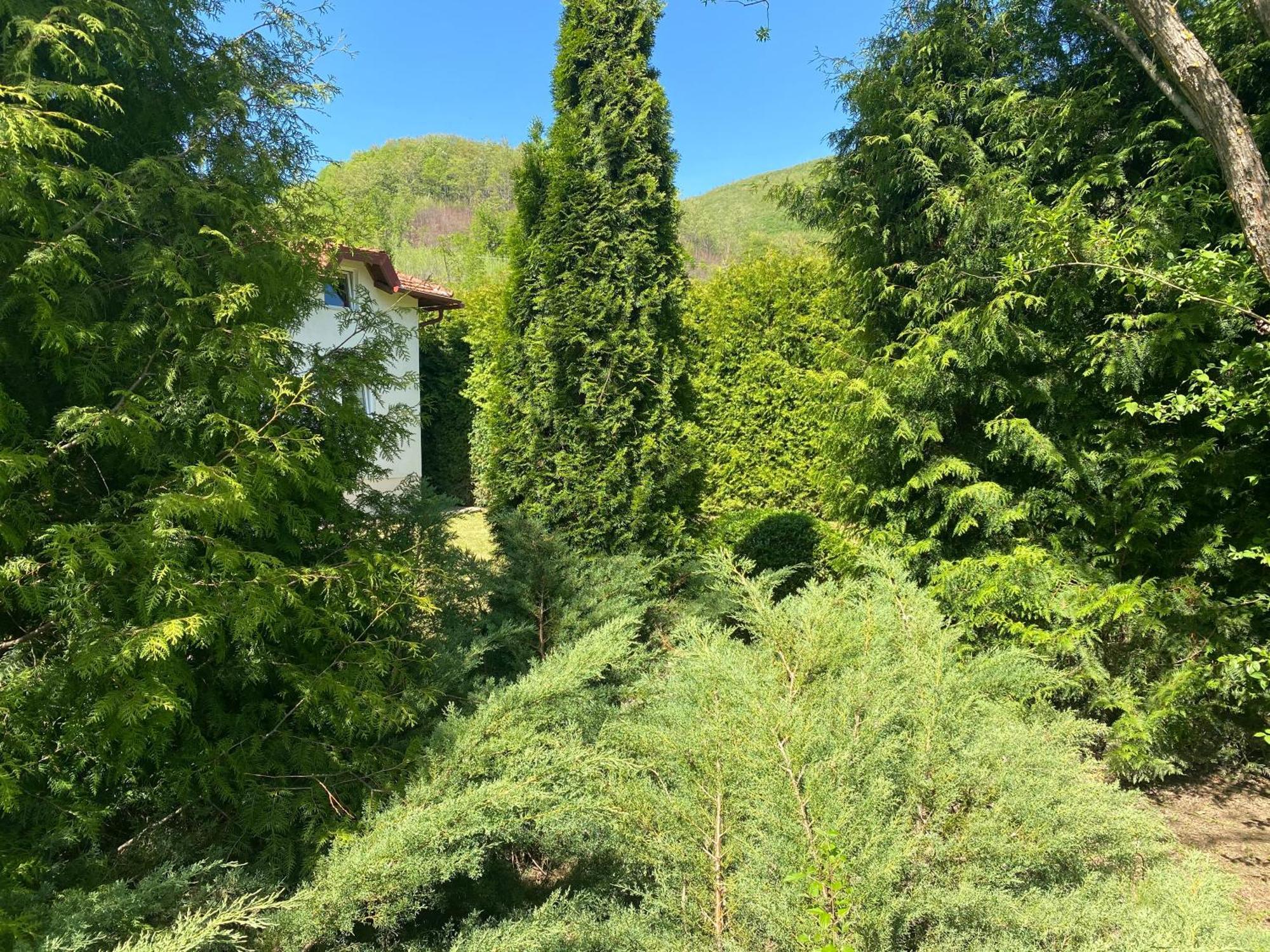 Villa Nana Kulen Vakuf Εξωτερικό φωτογραφία